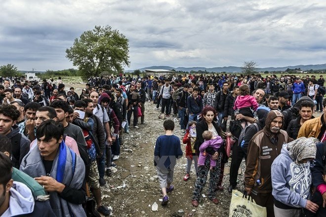 IMF urges European Union to open jobs market to refugees - ảnh 1